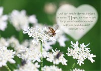 Postkarte - Herz - Kolosser 3,15